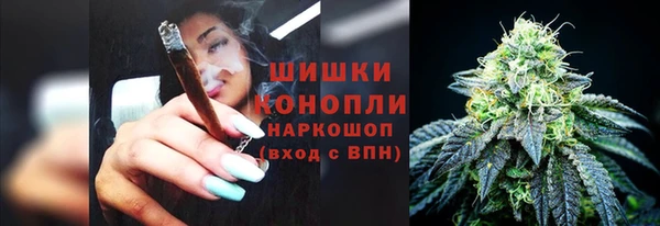 крисы Баксан