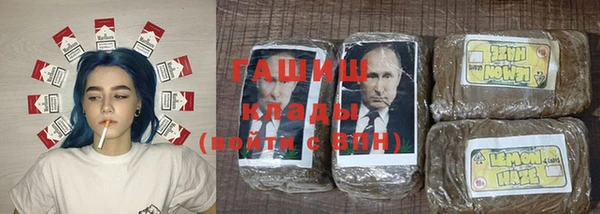 крисы Баксан