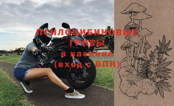 крисы Баксан